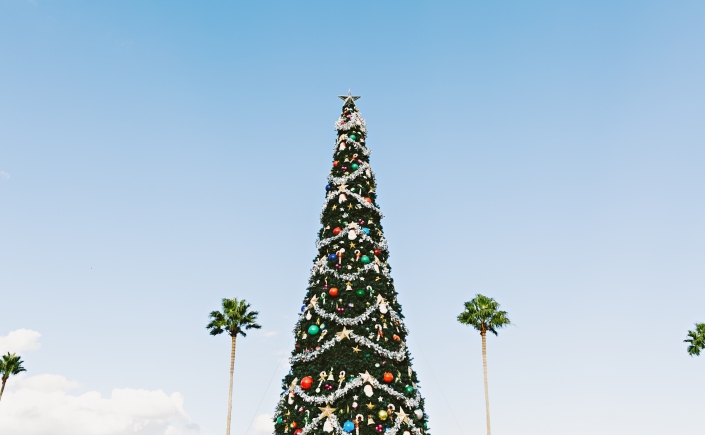 Tall narrow Christmas tree colorfully adorned and set against azure sky with palm trees in background
